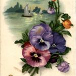 Gruss aus Gysenstein