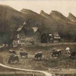 Wildhaus - Hotel Acker