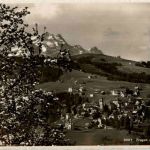 Trogen