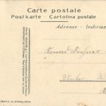 Appenzeller Gaisshirt - Ziegen