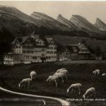 Wildhaus - Hotel Acker