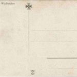 Unverhofftes Wiedersehen