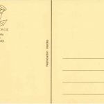 Strassenbahn - Repro