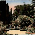 SM la Reine Elisabeth et la Princesse Marie JoseTlemcen