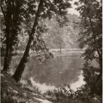 Salon d Hiver 1913 - H. Biva