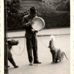 Paris - Bär und Affe