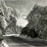 Elsenborn - La Baraque Michel