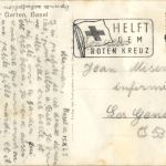 Basel - Zoo - Eisbär