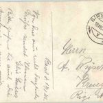 Basel - Zoo - Bär - bear