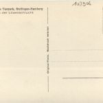 Hamburg Stellingen - Hagenbecks tierpark - Lion