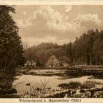 Würzbachgrund bei Hummelshain