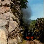 Vale of Rheidol Railway