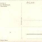 Schafe am Glurnersee