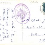 Kuh - Ober Oeschinen