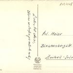 Ouchy - Lausanne - Schwan