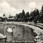 Ouchy - Lausanne - Schwan