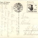 Lago di Lugano - Schwan