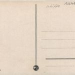 Rolle - Schwan
