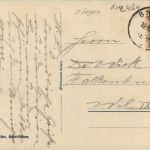 Ziegen im Berner Oberland