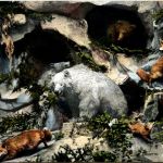 Gletschergarten Luzern - Bär - Fuchs