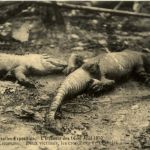 Gornichem - Miniatur ZweefcarousselBruxelles - L Incide 1910 - Crocodile