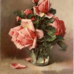 Künstlerkarte Catharina Klein