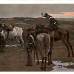 Robert Haug - Morgenrot