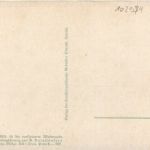 Robert Haug - Morgenrot