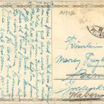 G. Niesky - Waldwiese