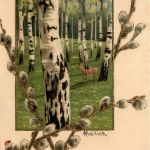 Mailick - Prägekarte