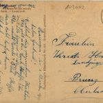 H. Salentin - Waldesblume