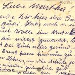 Katzen in der Schule