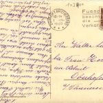 Katze - Cat - Schule