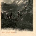 Gruss asu den Bergen