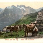 Abend auf der Alp