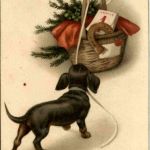 Neujahr - Dog
