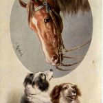 Horse and Dog
