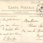 Paris Bois de Boulogne - Horse