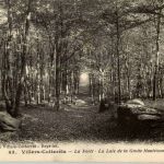 villers Cotterets