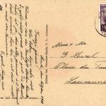 Pferd Skifahren Humor