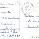 Hyeres les Palmiers