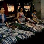 Toulon - Les Poissonnieres