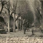 Ste Cecile