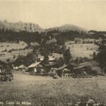 Diablerets - Tornettaz