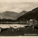 Alpe Ritom - Hotel Piora