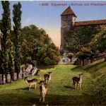 Rappersewil - Hirschpark