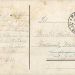 Rappersewil - Hirschpark