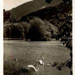 Bad Ragaz - Rheinparkanlage