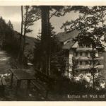 Mels - Hotel Waldheim