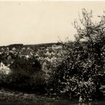 Flawil